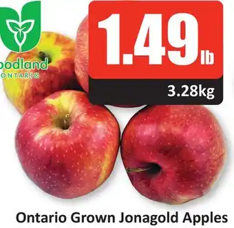 Starsky Ontario grown jonagold apples offer