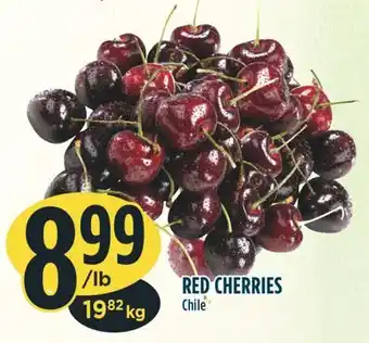 Marché Adonis Red cherries offer