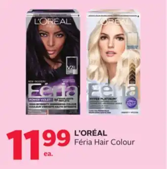 Rexall L' oréal féria hair colour offer