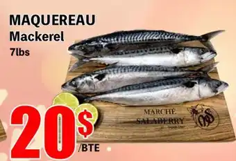 Marche Salaberry Maquereau offer