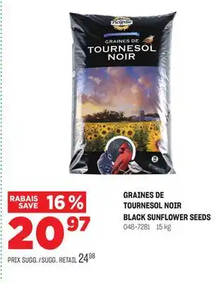 BMR Graines de tournesol noir offer