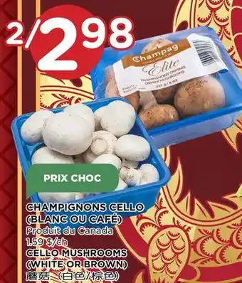 Kim Phat Cello mushrooms (white or brown) offer
