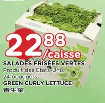 Kim Phat Green curly lettuce offer