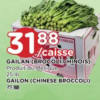 Kim Phat Gailon (chinese broccoli) offer
