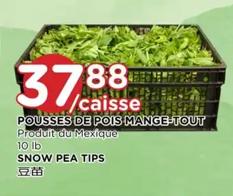 Kim Phat Snow pea tips offer