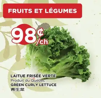 Kim Phat Green curly lettuce offer
