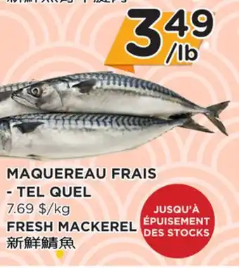 Kim Phat Fresh mackerel offer