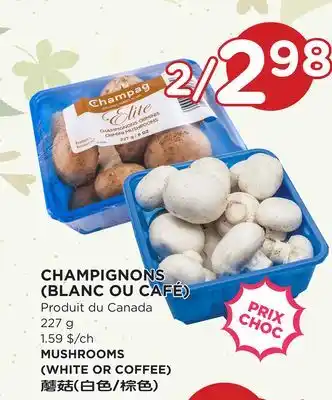 Kim Phat Mushrooms (white or coffee) offer