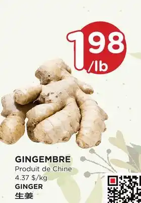 Kim Phat Ginger offer