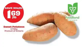 Metro Sweet Potatoes 3.73/kg offer