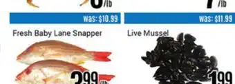 Nations Fresh Foods Fresh baby lane snapper offer