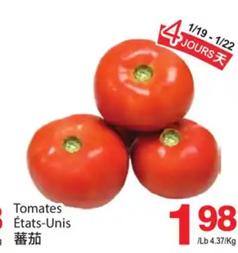 T&T Supermarket Tomates offer