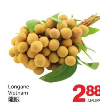 T&T Supermarket Longane offer