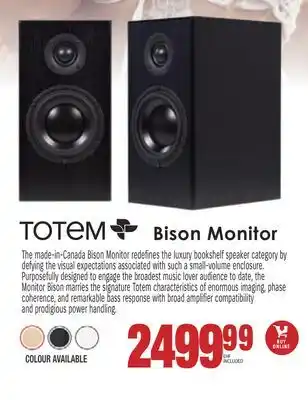 Centre Hi-Fi Totem bison monitor offer