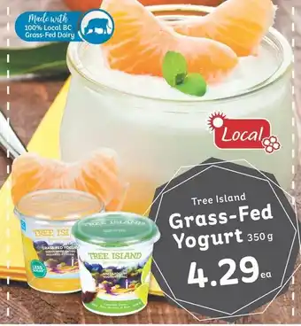 IGA Tree Island Grass-Fed Yogurt 350g offer