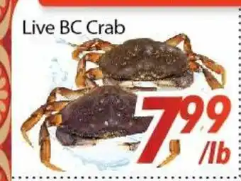 Bestco Food Mart Live bc crab offer