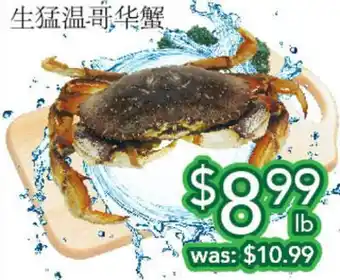 Ample Food Market Live bc crab offer