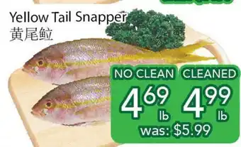 Ample Food Market Yellow tail snapper offer