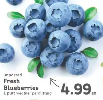 IGA Imported Fresh Blueberries offer