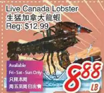 Foody Mart Live canada lobster offer