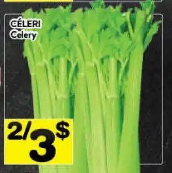 Supermarché PA Celery offer