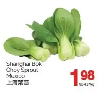 T&T Supermarket Shanghai Bok Choy Sprout Mexico offer