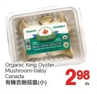 T&T Supermarket Organic King Oyster Mushroom-baby offer