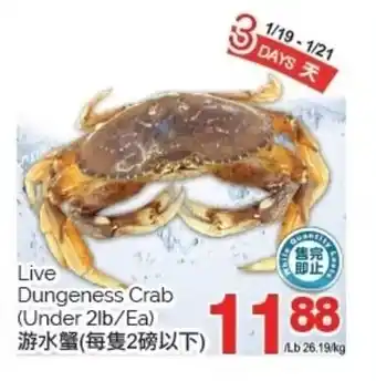 T&T Supermarket Live Dungeness Crab offer