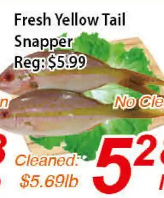 Seasons Foodmart Fresh yellow tail snapper offer