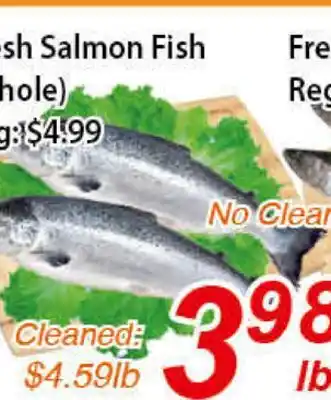 Seasons Foodmart Fresh salmon fish (whole) offer