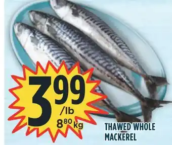 Marché Adonis Thawed whole mackerel offer