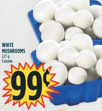 Marché Adonis White mushrooms offer