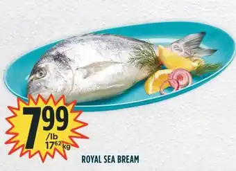 Marché Adonis Royal sea bream offer