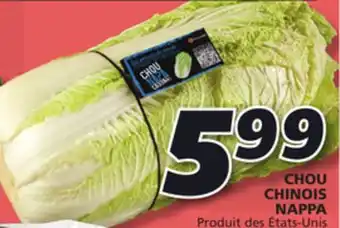 IGA Cabbage chinese nappa offer
