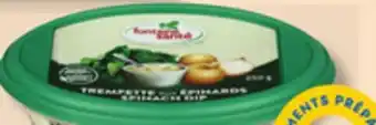 IGA Fontaine santé dip offer