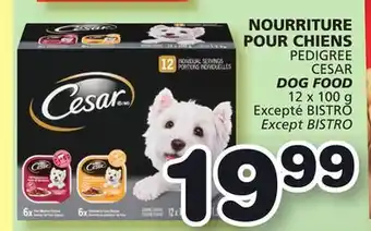 Marches Tradition Cesar dog food offer