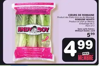 Marches Tradition Romaine hearts offer
