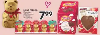 Brunet Lindt, freddo chocolats sélectionnés offer