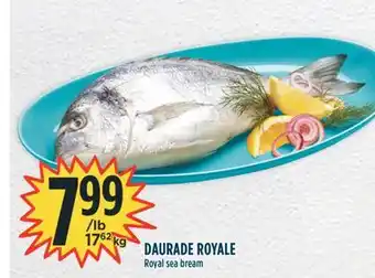 Marché Adonis Daurade royale offer