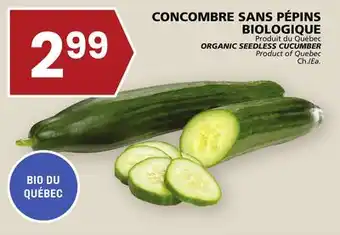 Rachelle-Bery Grocery Organic seedless cucumber offer