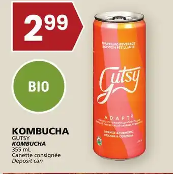 Rachelle-Bery Grocery Gutsy kombucha offer