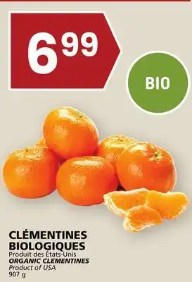 Rachelle-Bery Grocery Organic clementines offer