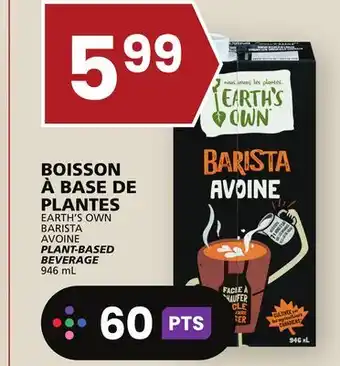 Rachelle-Bery Grocery Earth's own plant-based beverage offer