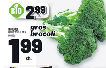 Metro BROCOLI | BROCCOLI offer