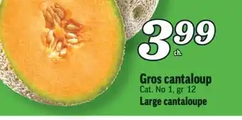 Marché Richelieu GROS CANTALOUP | LARGE CANTALOUPE offer