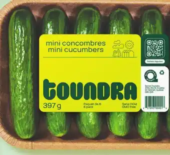 Marché Bonichoix SEEDLESS MINI CUCUMBERS offer