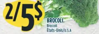 Marché Adonis BROCOLI offer