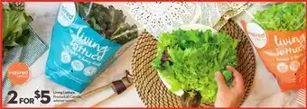 Longo's Living Lettuce offer