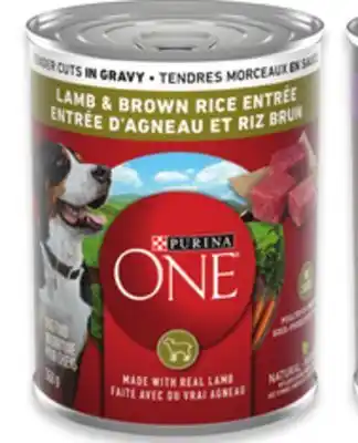 Walmart Purina ONE Wet Dog Food offer