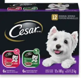 Walmart Cesar Wet Dog Food Variety 12-Pack offer